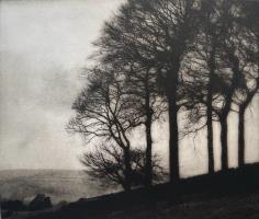 Six Tree