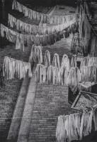 Laundry, Kings Cross
