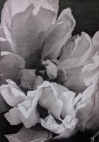 Beginnings 3