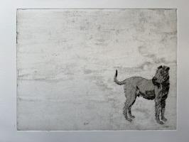 Jasper the Irish Terrier
