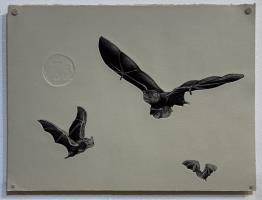 Night Flight