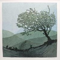Sheltered Hollow