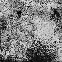 Dissolution