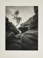 Brigham Rocks