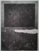 Variable Shoreline #15