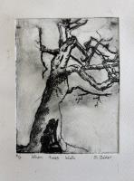 When trees walk
