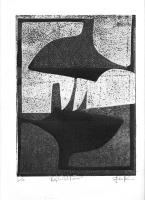 Reflected Form