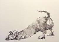 Downward Dog