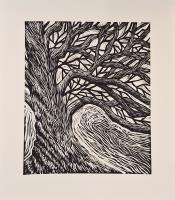 Oak