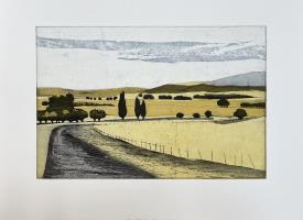 Between Town and Country: the height of summer in the Midlands (Tasmania)