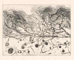 Mycelium