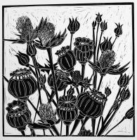 Thistles and Seed Pods