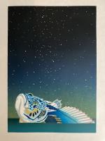 Stargazer