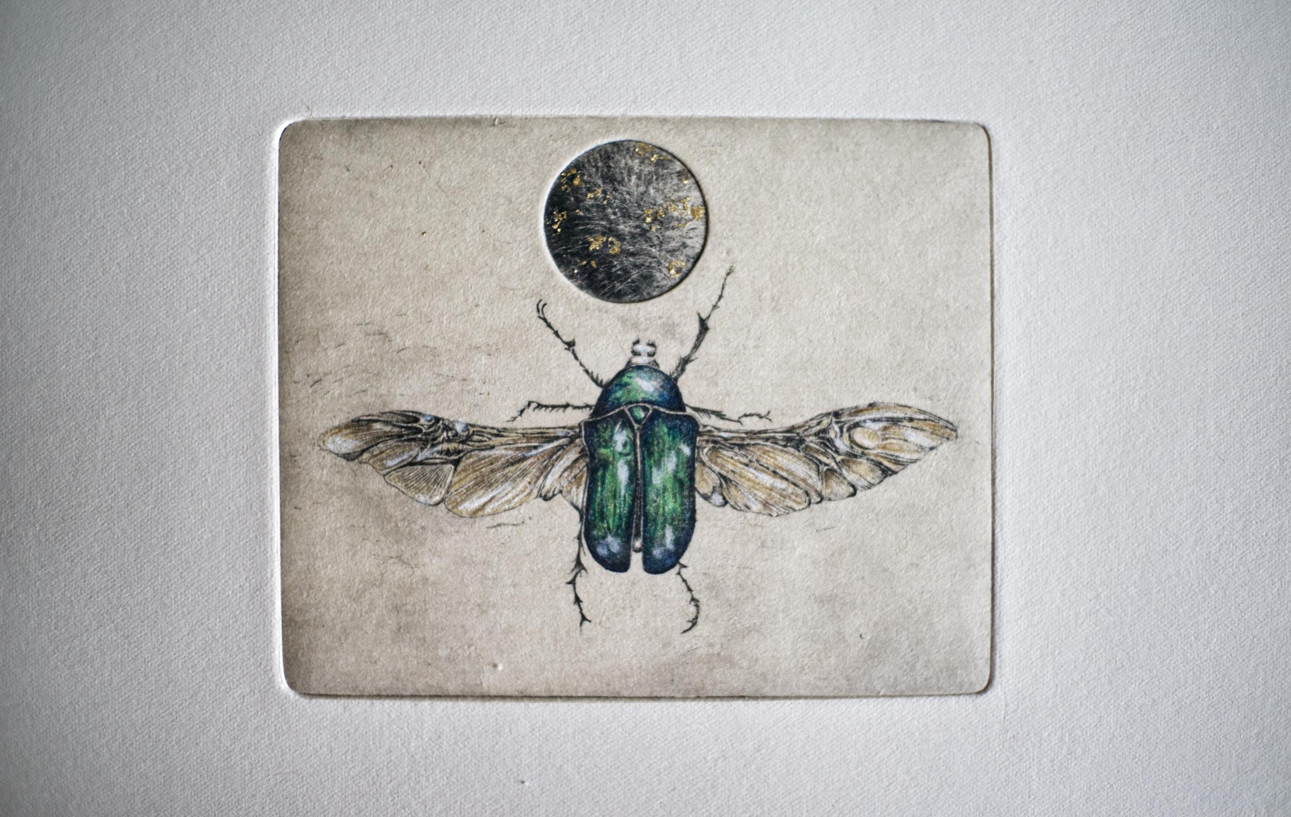 'Moondance'
