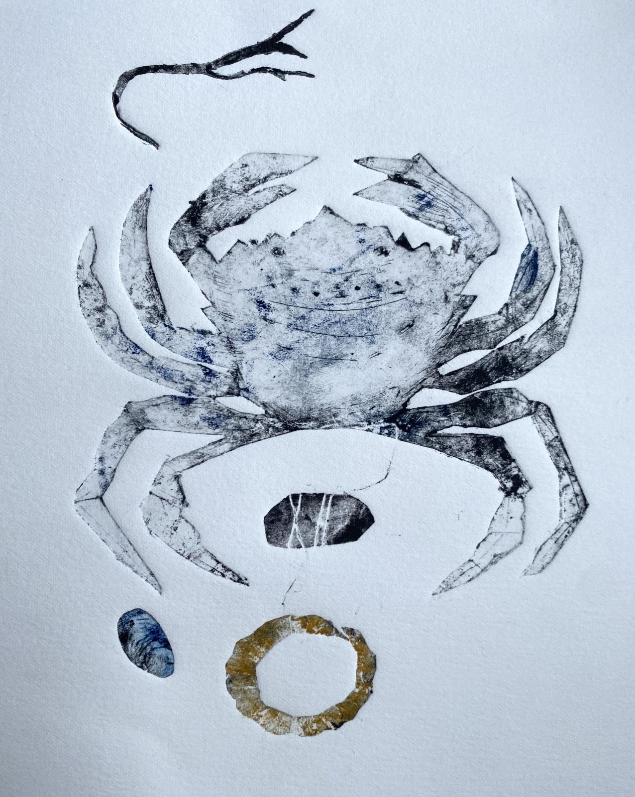 Shoreline crab 