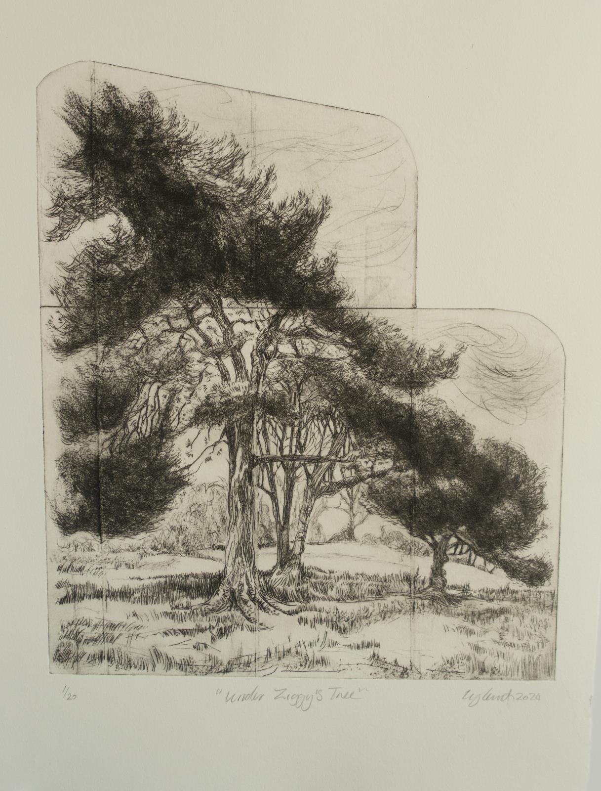 Under Ziggy's Tree