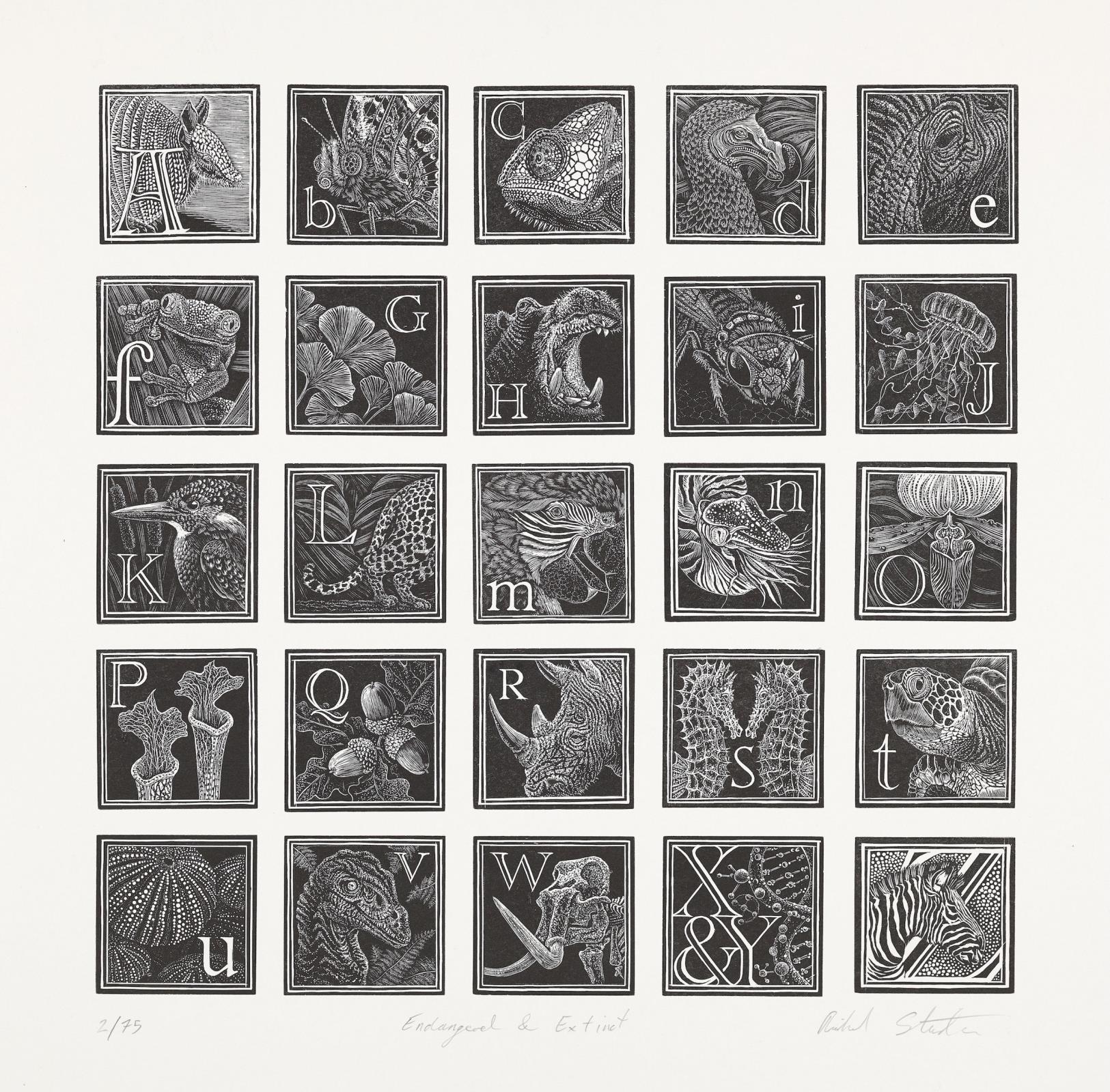 Endangered & Extinct - An Engravers Alphabet