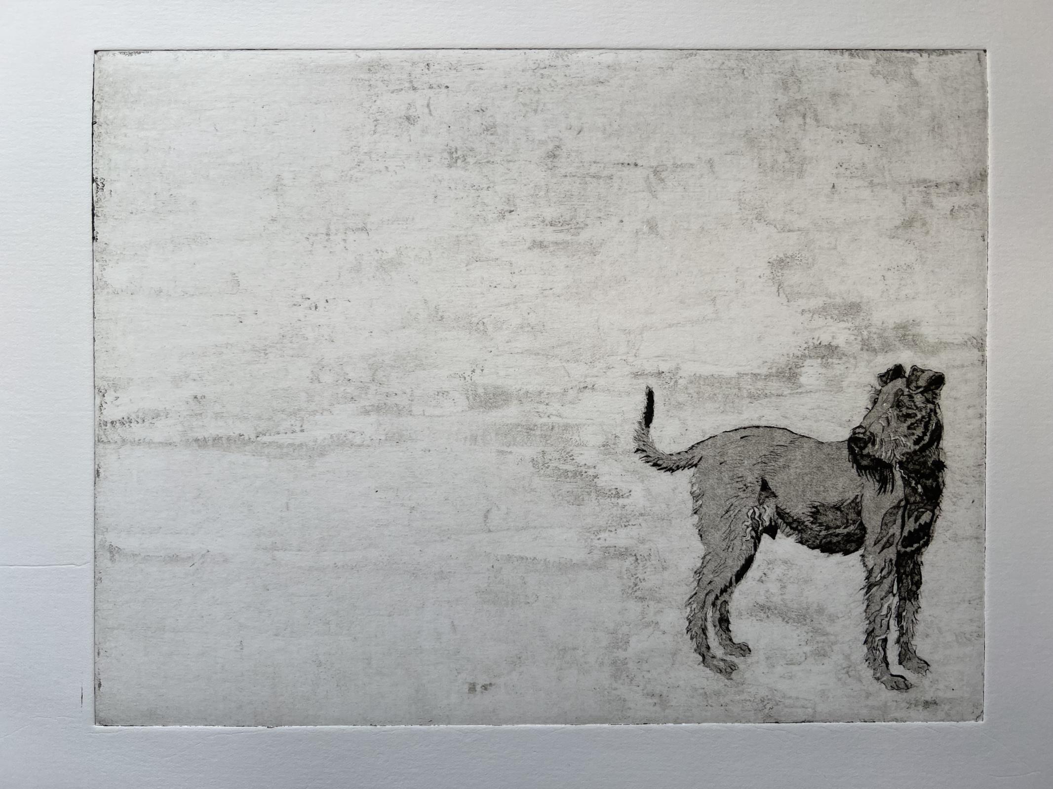 Jasper the Irish Terrier