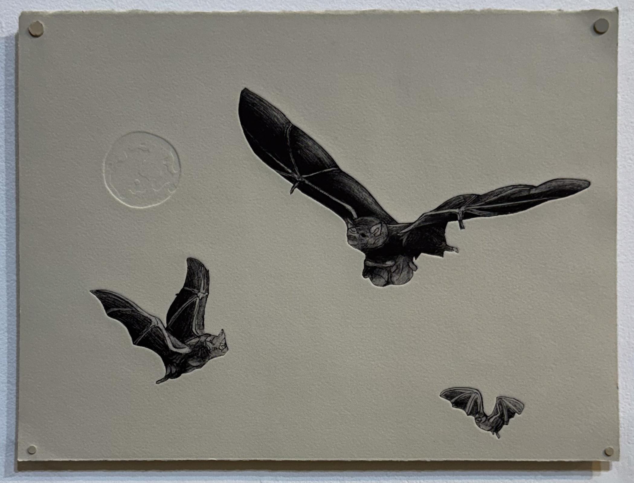 Night Flight