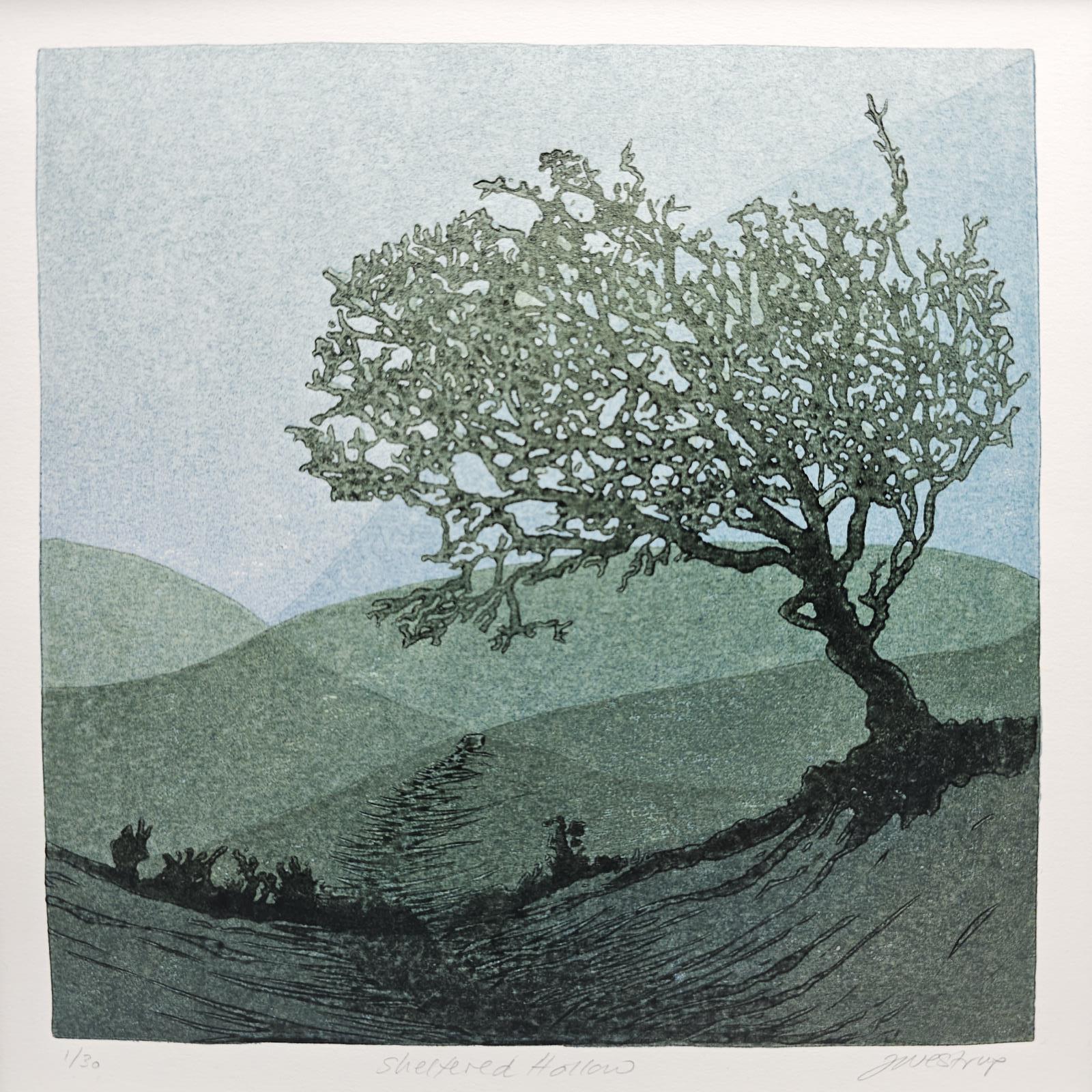 Sheltered Hollow