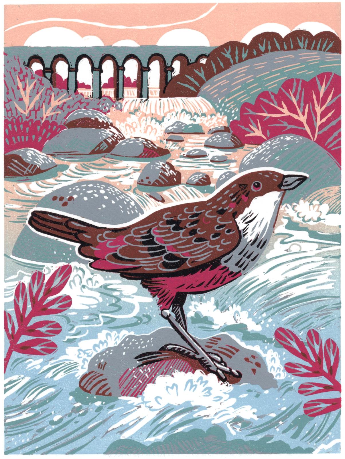 Dipper At Monsal Dale