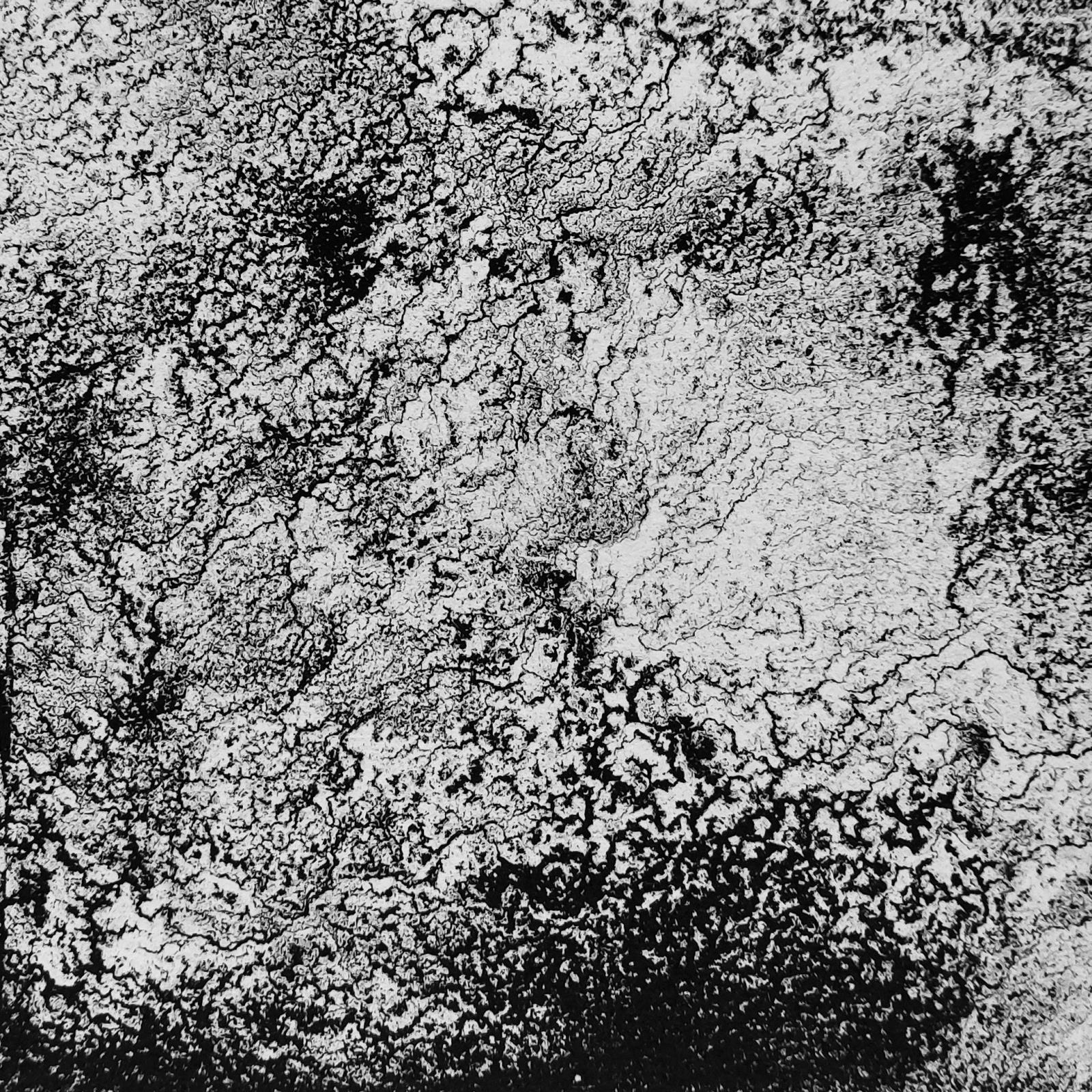 Dissolution