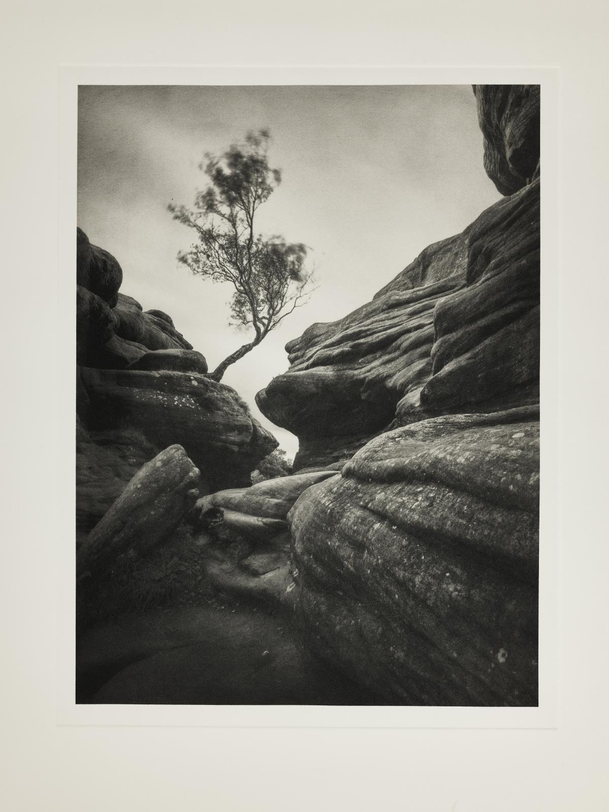 Brigham Rocks