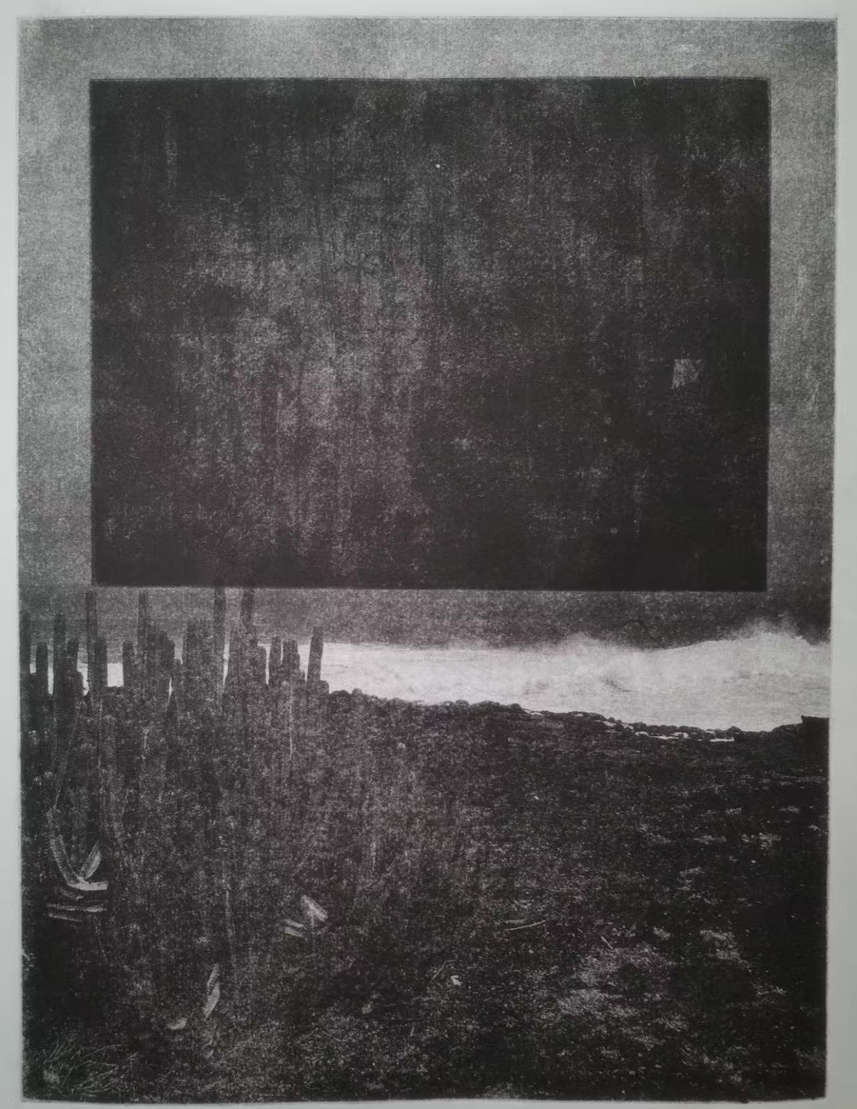 Variable Shoreline #15