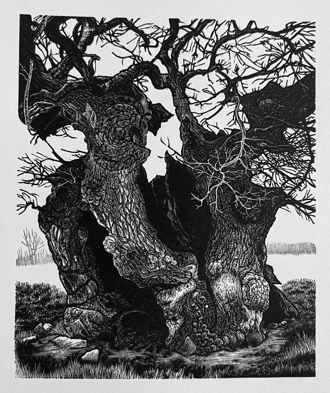 Pedunculate Oak