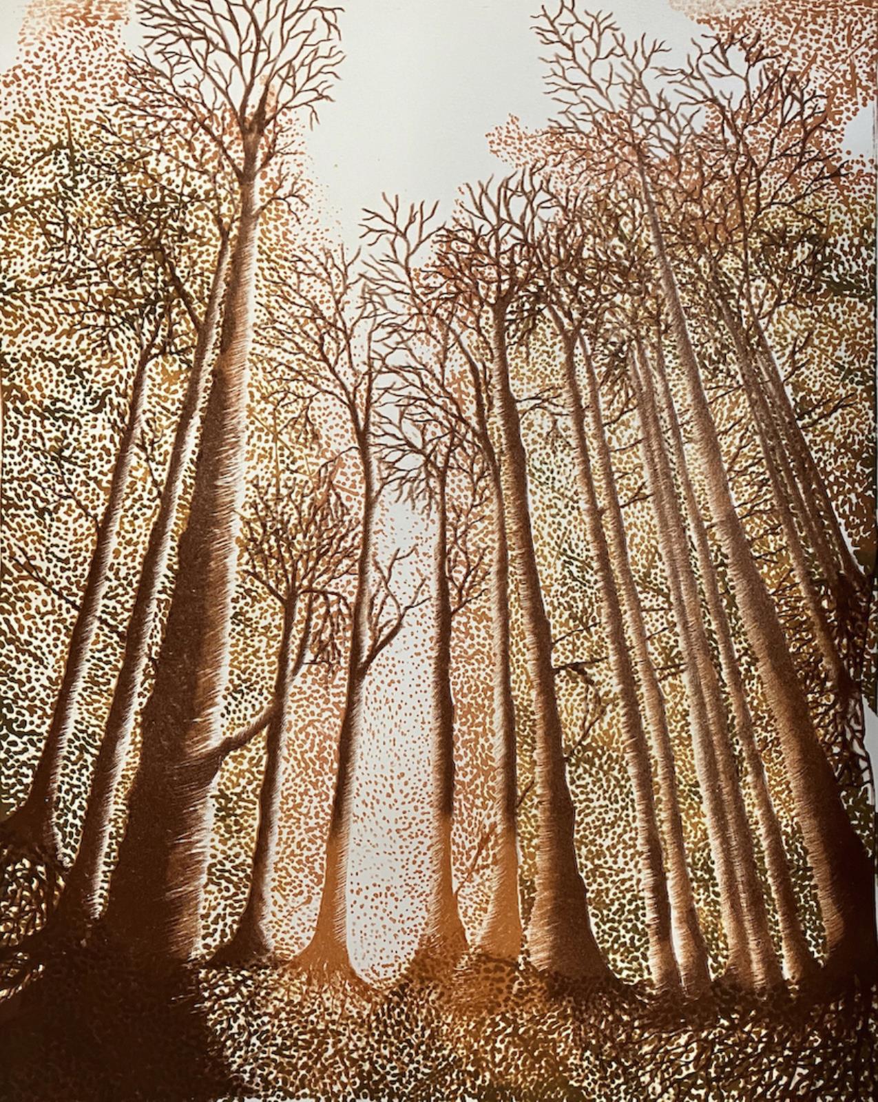 Tan Gwyllt IX