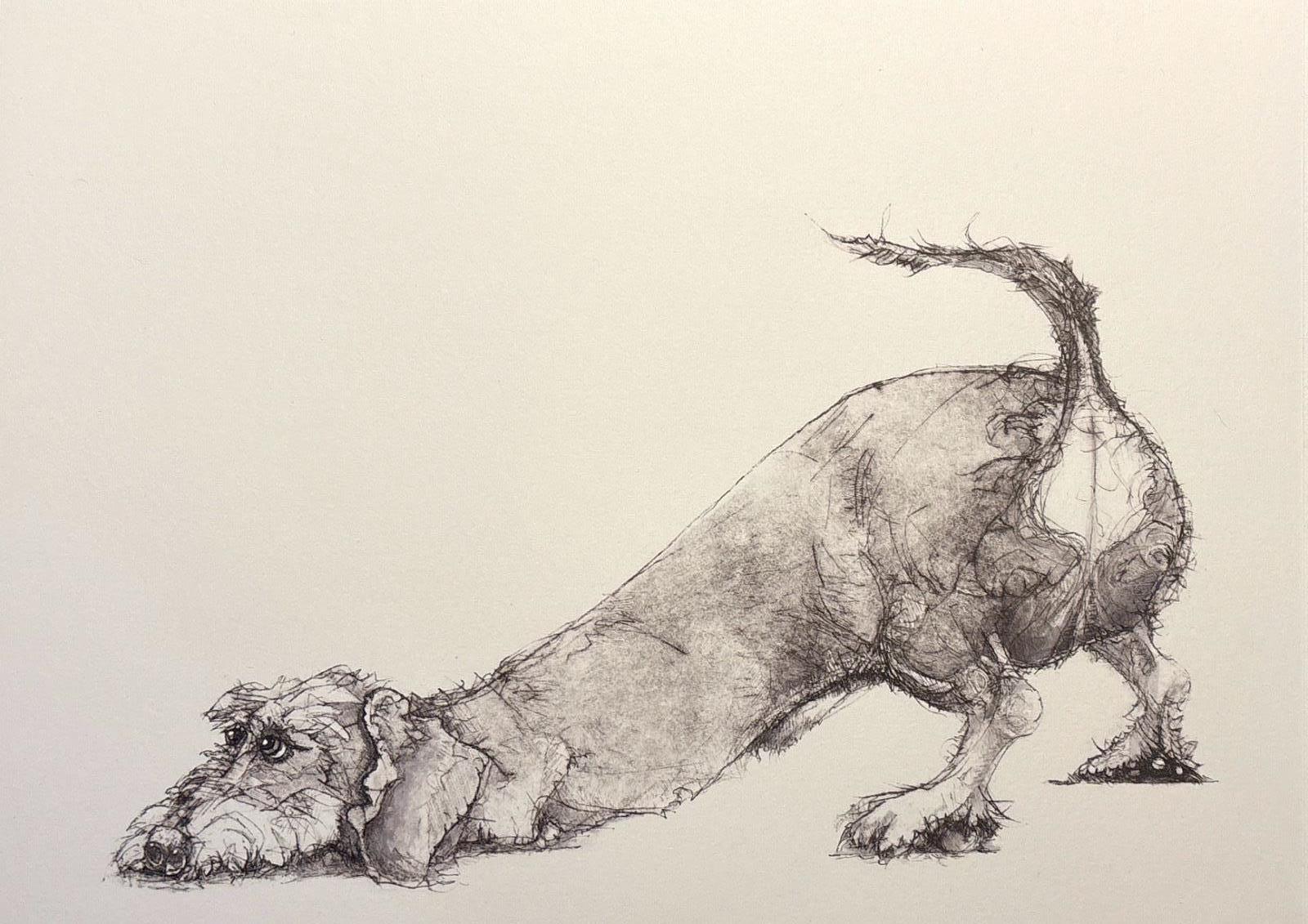 Downward Dog