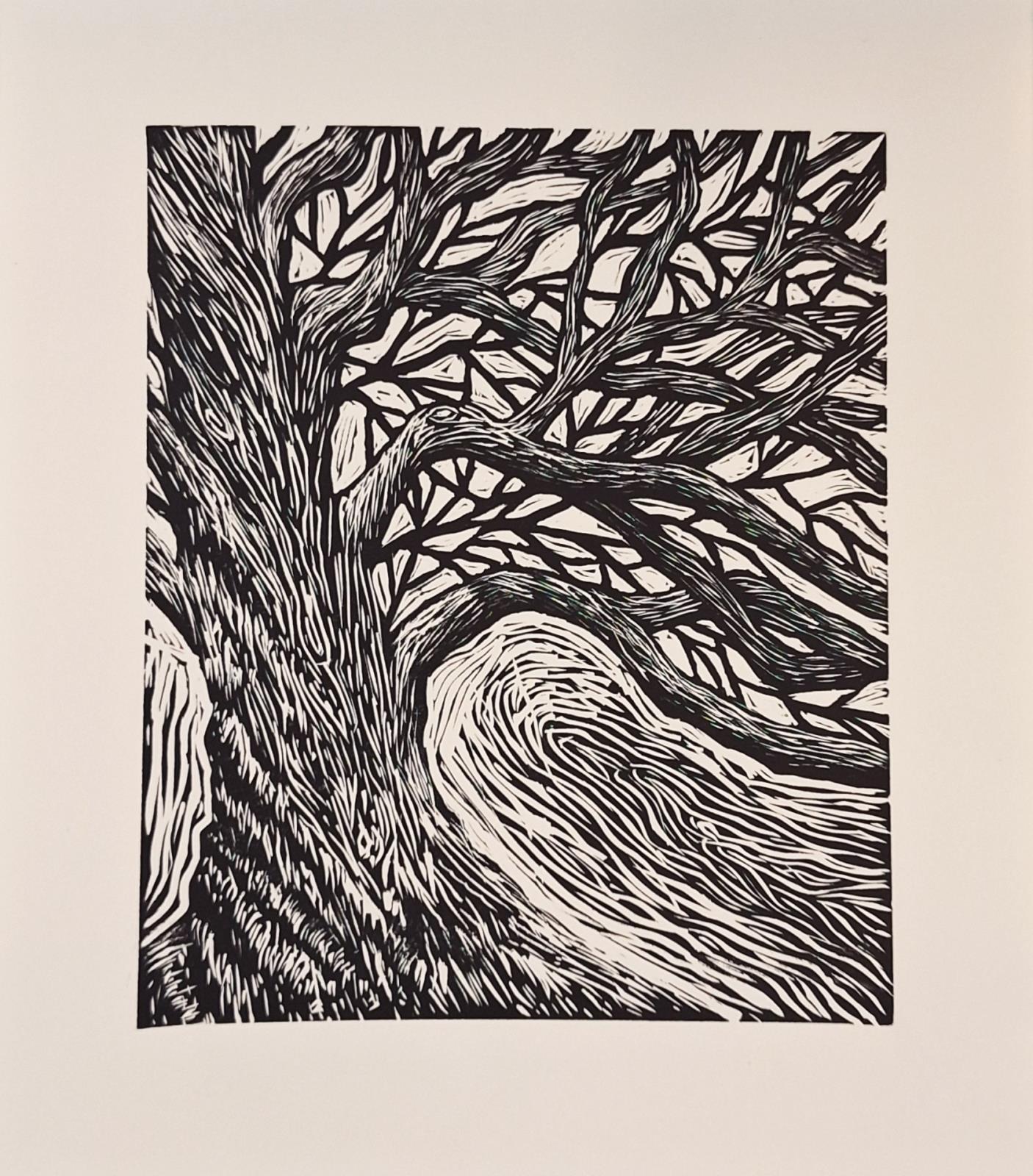 Oak