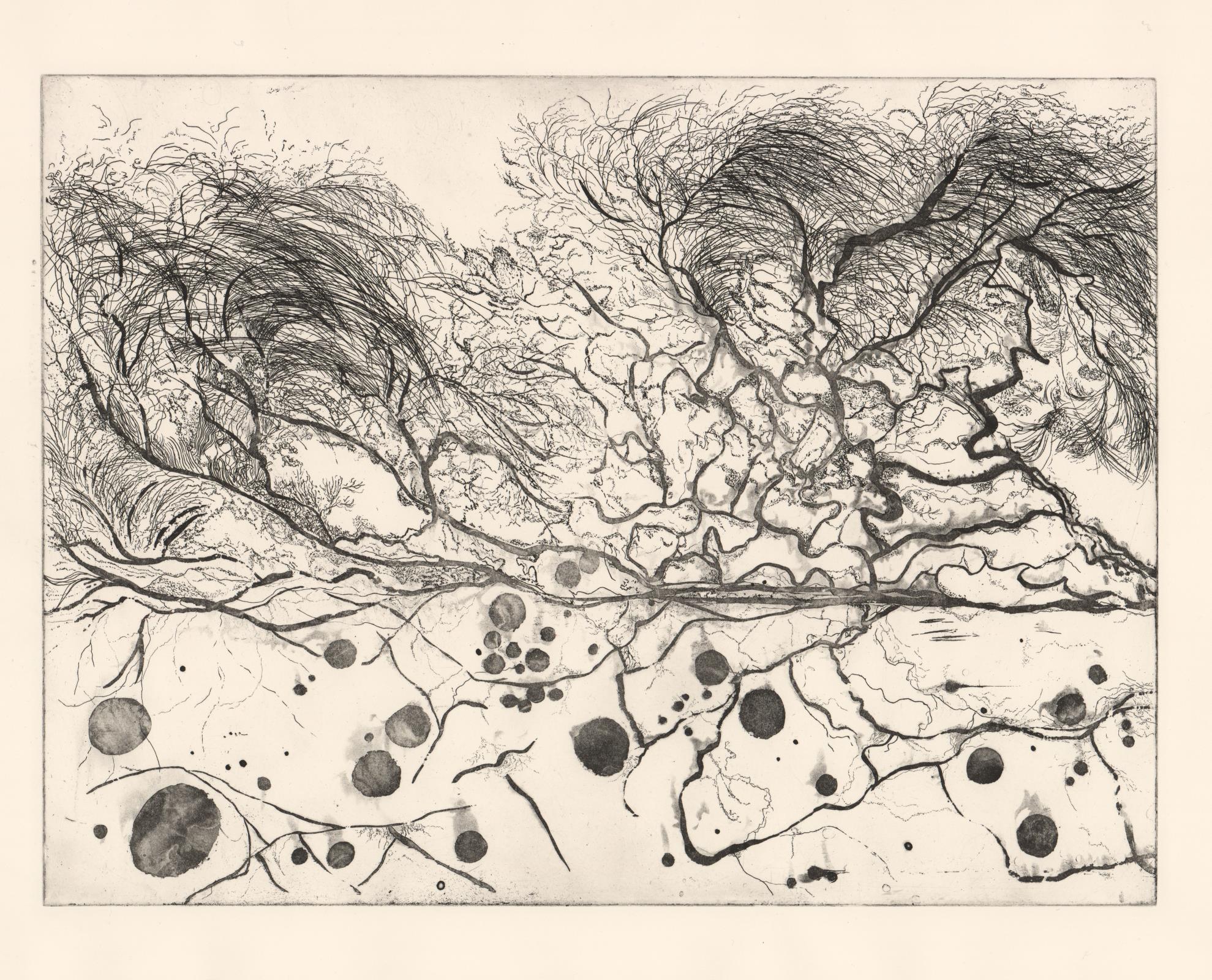 Mycelium