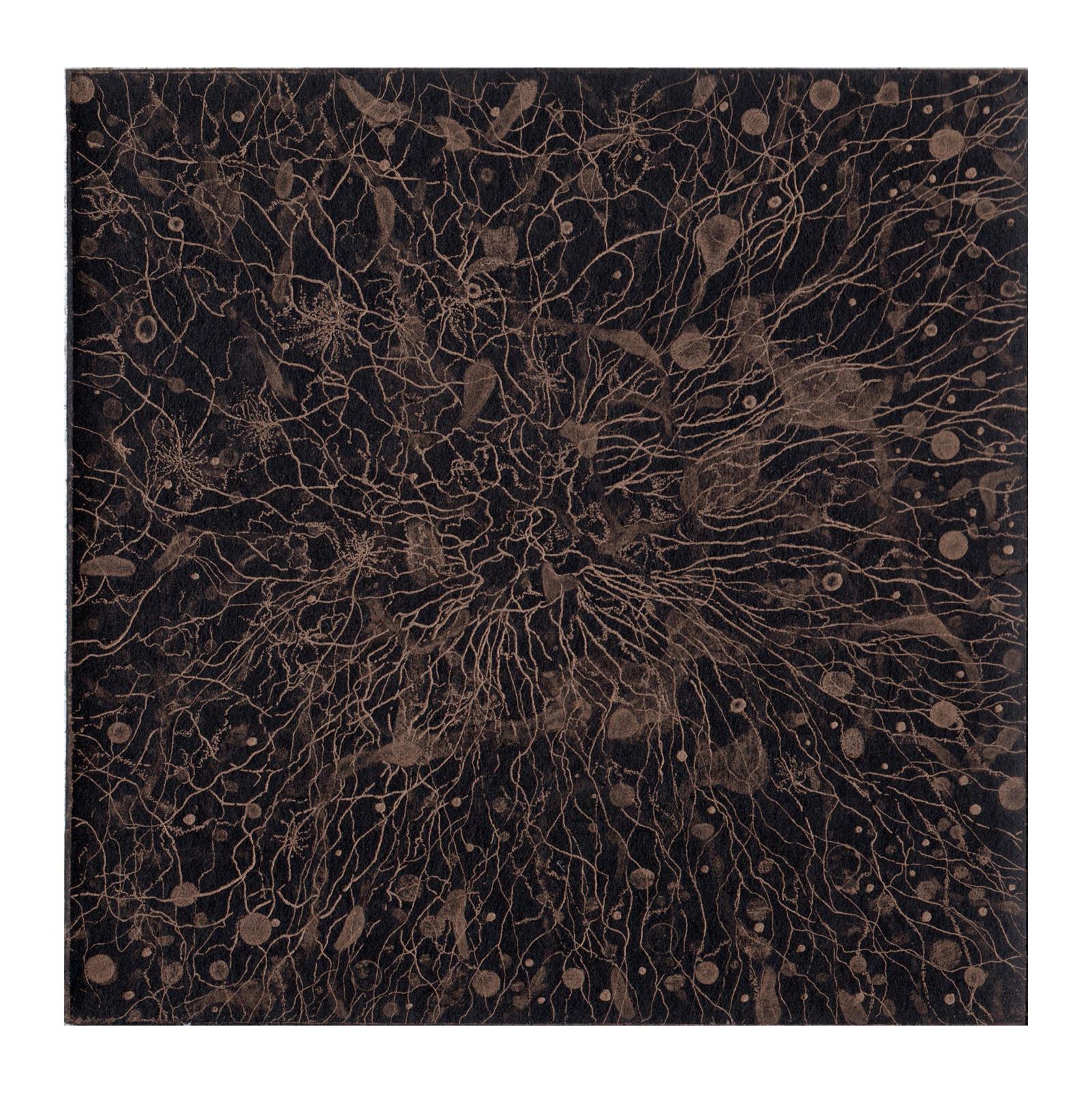 Web of Life
