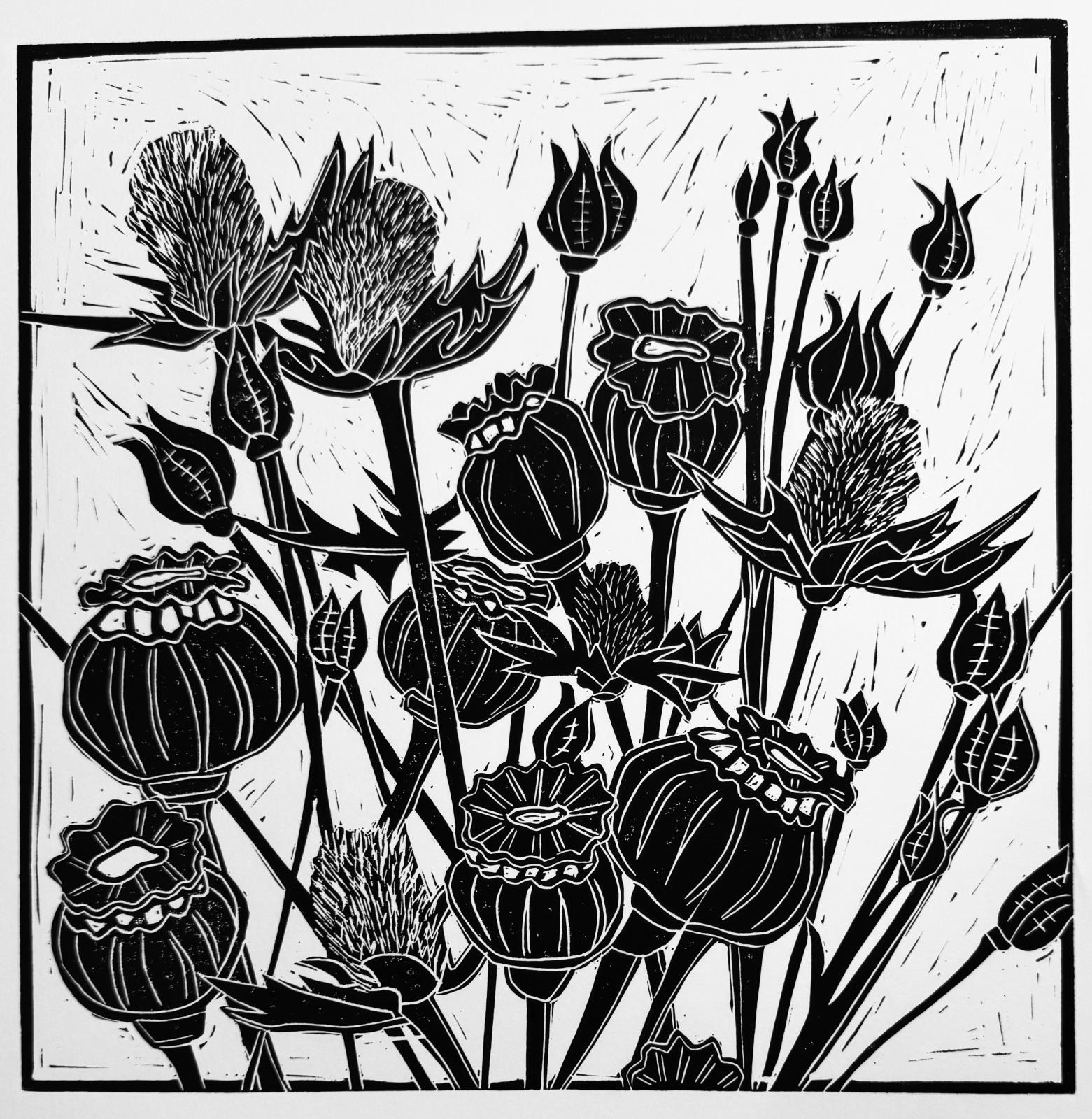 Thistles and Seed Pods