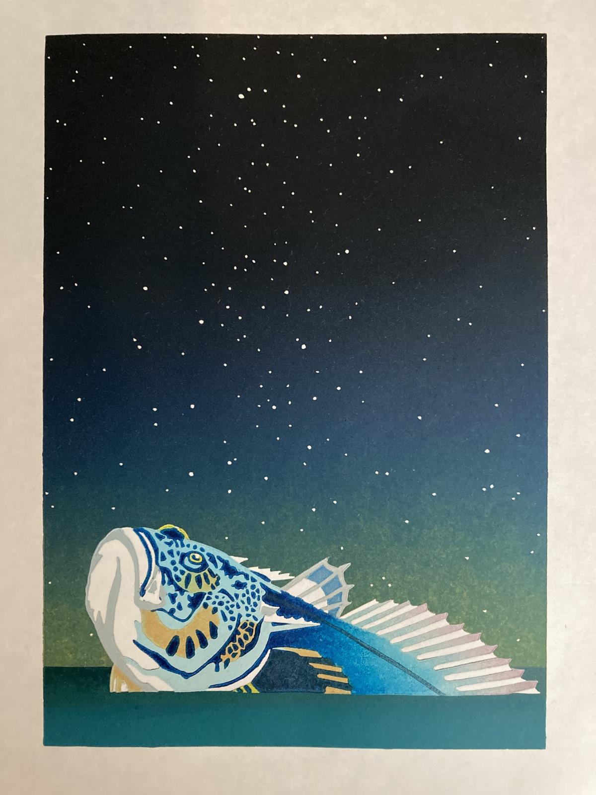 Stargazer
