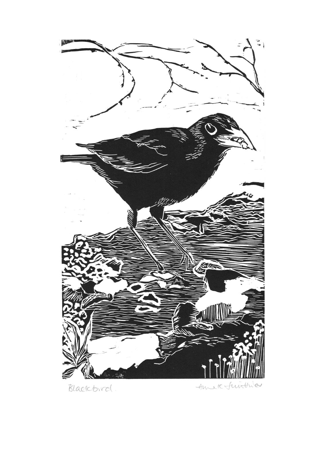 Blackbird