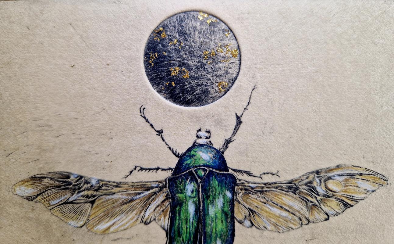 'Moondance'