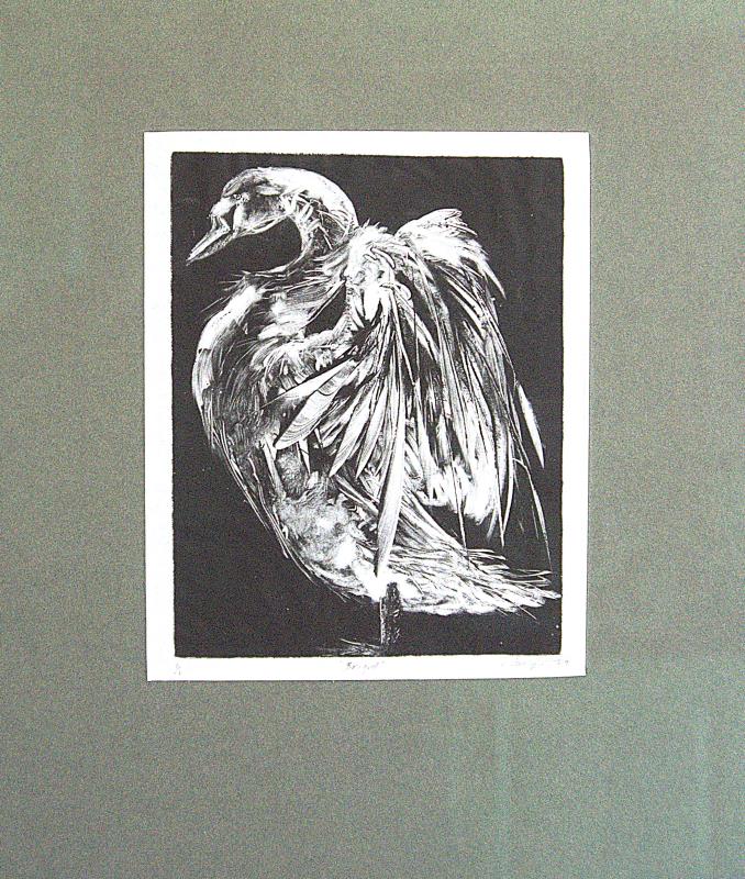 'Brigid'
