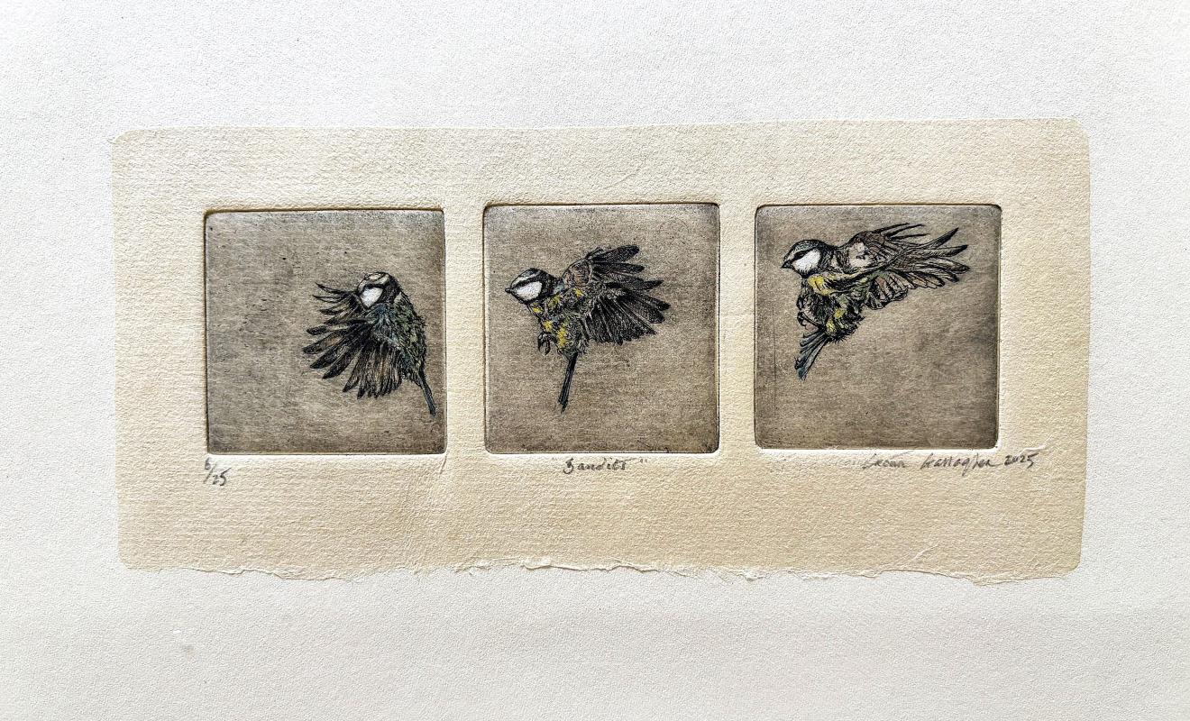 'Bandits'