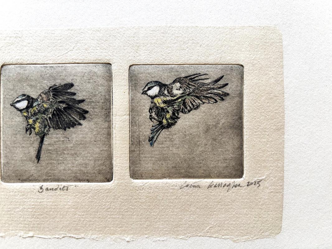 'Bandits'