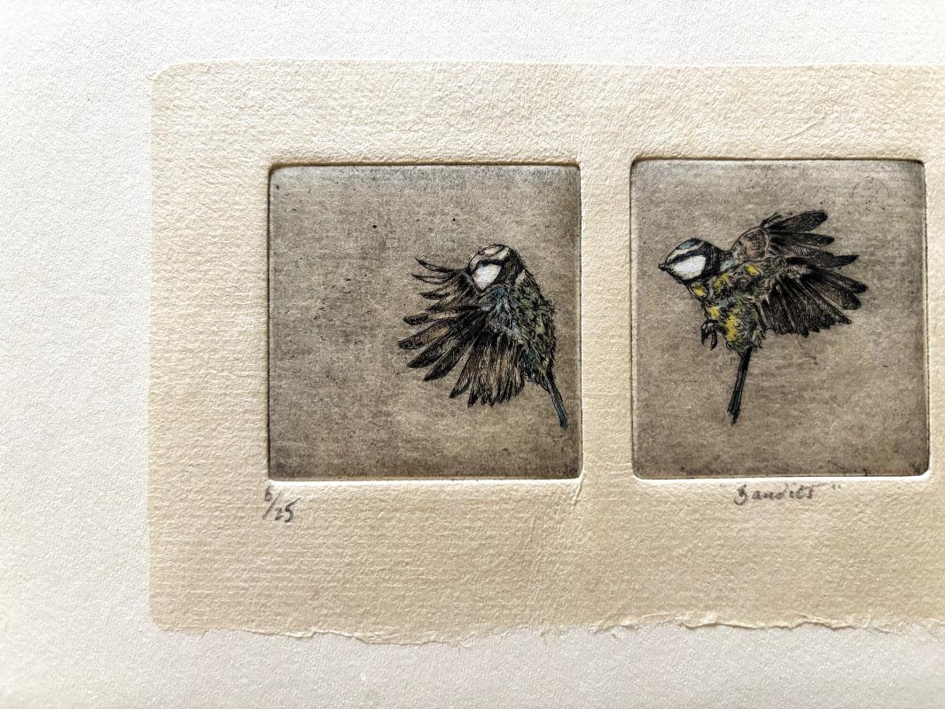 'Bandits'