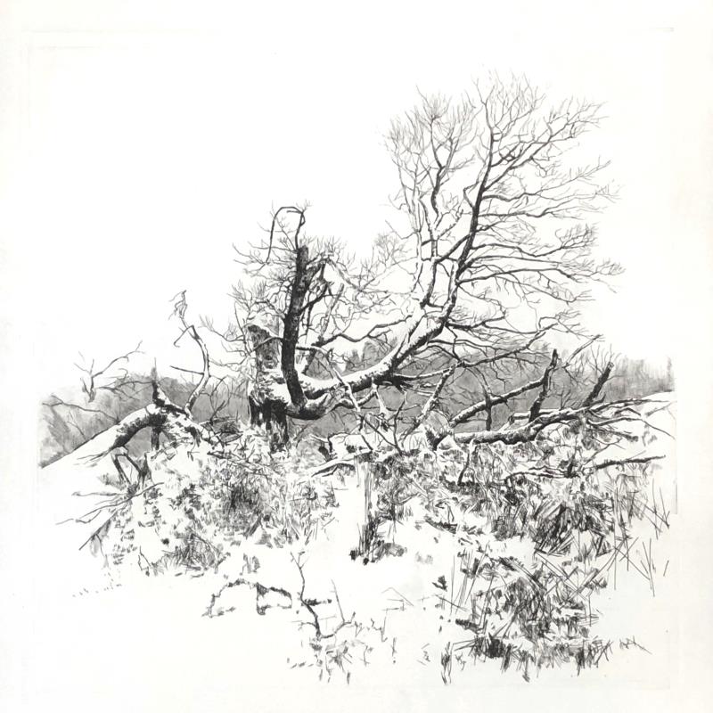 Snowfell III
