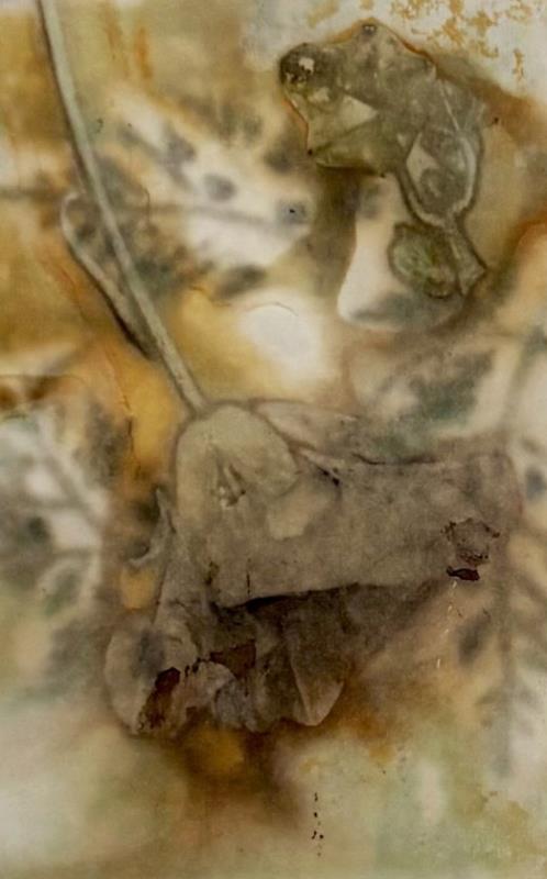 Close up to nature