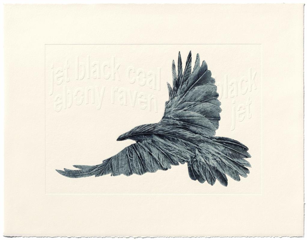 Rebel Raven