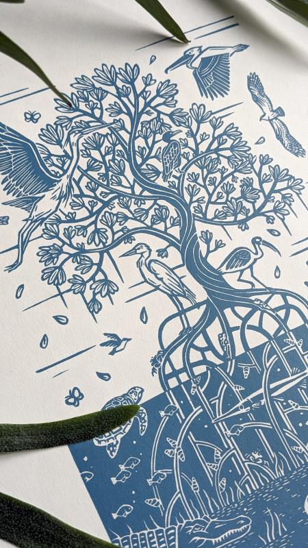 Mangrove