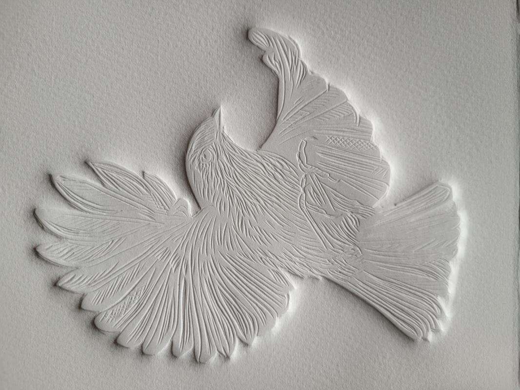 Hope is the thing with Feathers