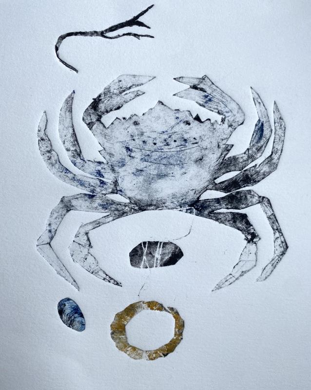 Shoreline crab 