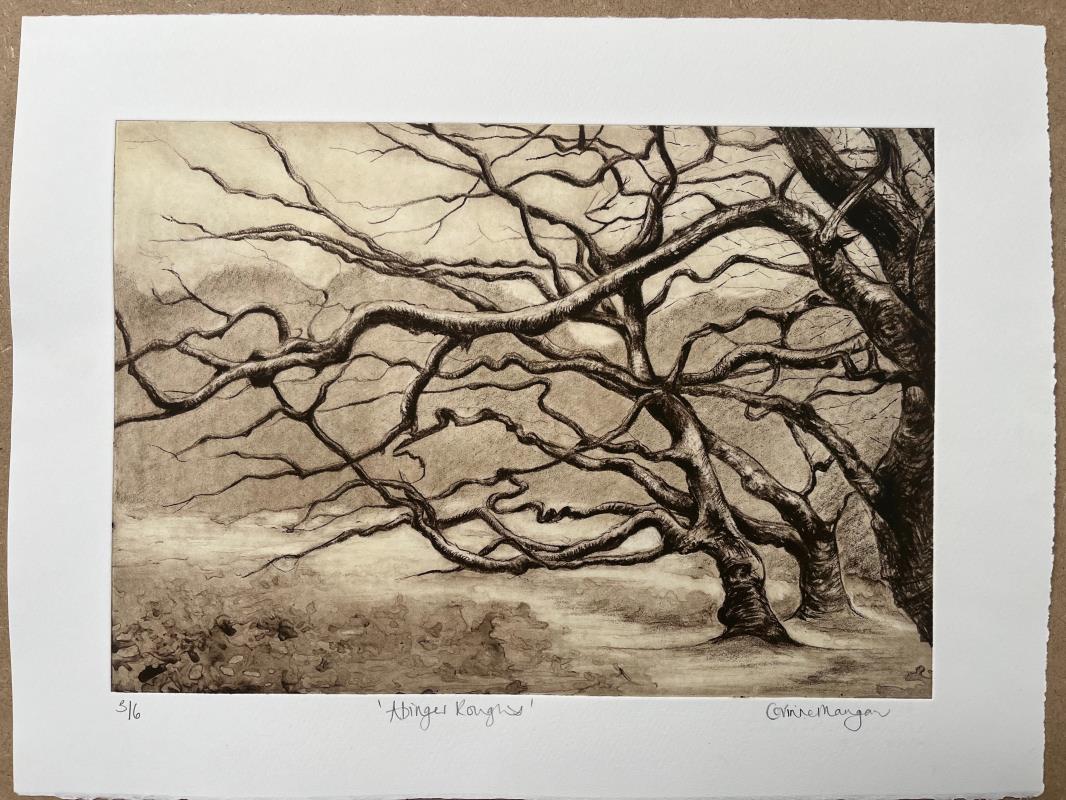 Abinger Roughs
