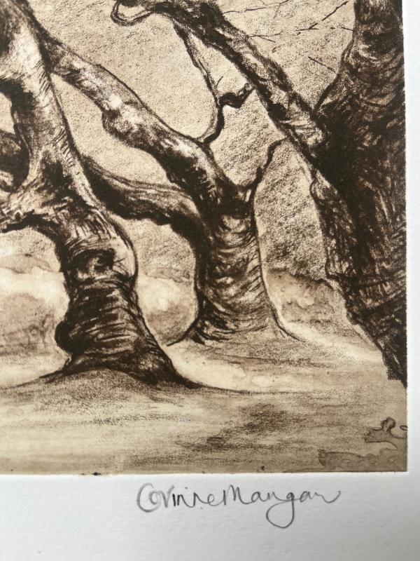Abinger Roughs